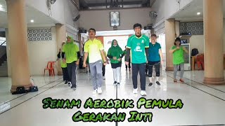 Senam Aerobik Pemula || Mudah Diikuti || Gerakan Inti || Crazy Frog || Happy Role Creation