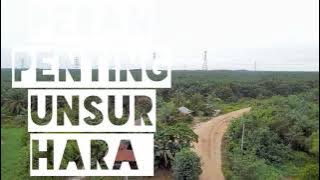 Peran Penting Unsur Hara (Tanaman Kelapa Sawit)