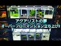 アクアリストの夢‼オーバーフローマンション立ち上げ‼　アクアリウム　ベタ