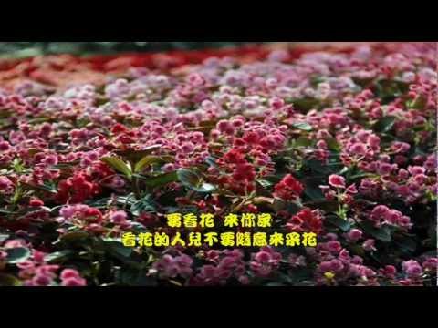 花儿像人人像花姚苏蓉谢雷 Youtube