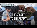 Did we crack the BIG Bream code! - Tournament pre fish.