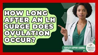 How Long After an LH Surge Does Ovulation Occur? | Fertility Support Channel