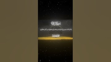 سورة آل عمران|54-55|القارئ:#محمد_اللحيدان #قران #quran #راحة_نفسية#قران_كريم#تلاوة_هادئة#تلاوة_خاشعة