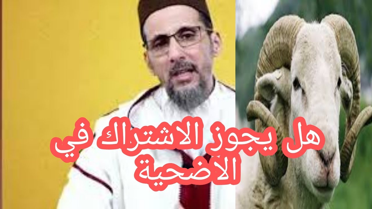 هل يجوز الاشتراك في شراء أضحية العيد ... -الاستاذ مصطفى الهلالي