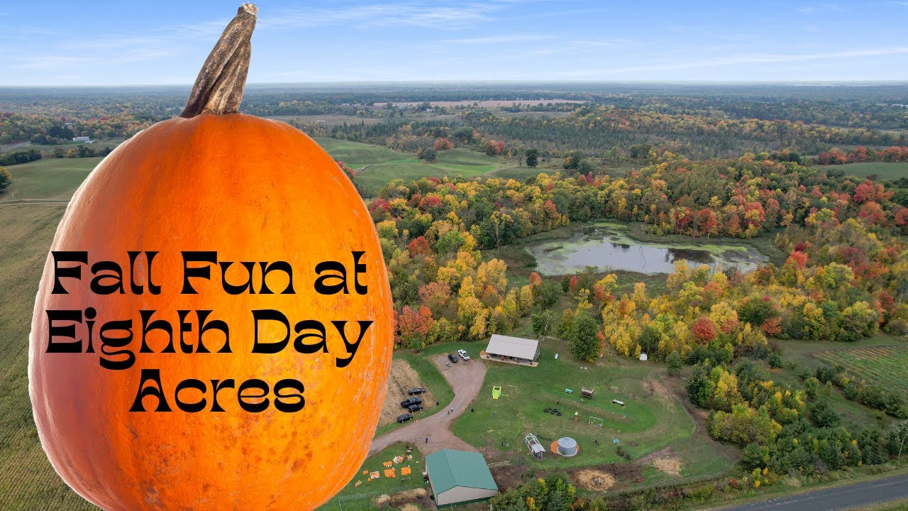 Fall Fun In NW Wisconsin! Lets check out the pumpkins patch! YouTube