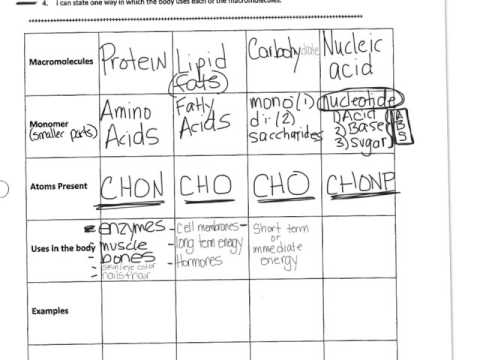 Macromolecule Monomer Polymer Chart