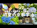 【京都旅行VLOG】初夏の宇治さんぽ｜紫陽花の名所＆季節限定あじさいパフェ｜伊藤久右衛門・中村藤吉・人気パン屋mogmogも紹介