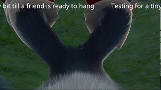 Test Stream - bit rate and gaming on linux