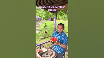 Cà phê VÂN NGUYỆT CÁC. Đồi mây Lộc Thành - BẢO LỘC - săn mây - Nguyễn An Nhơn