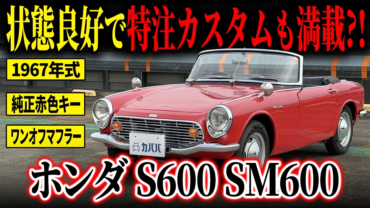 Exquisitely Detailed!] A Car Filled with the Owner's Love! The