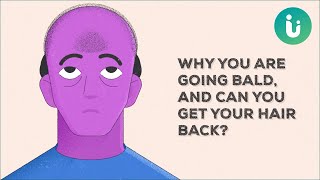 Why you are going bald and can you get your hair back