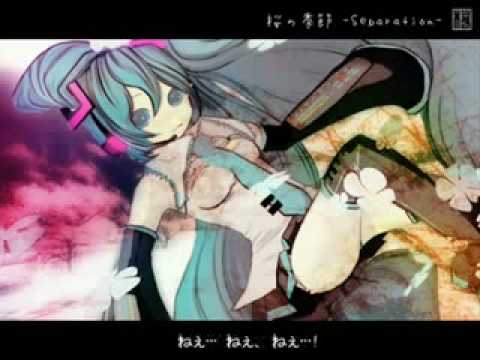 Cherry Blosson Season Separation【桜の季節 Separation】【初音ミク】
