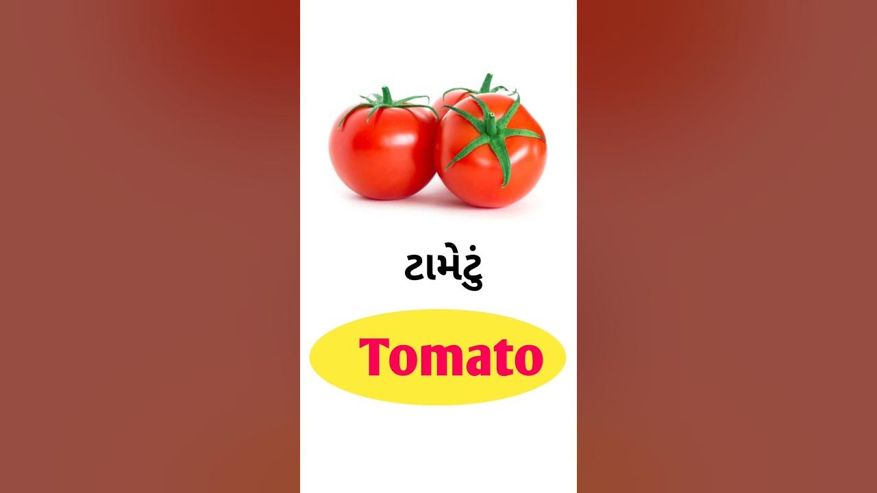 Tomato Meaning In Gujarati English Gujarati Dictionary YouTube tomato-meaning-in-gujarati-english-gujarati-dictionary-youtube