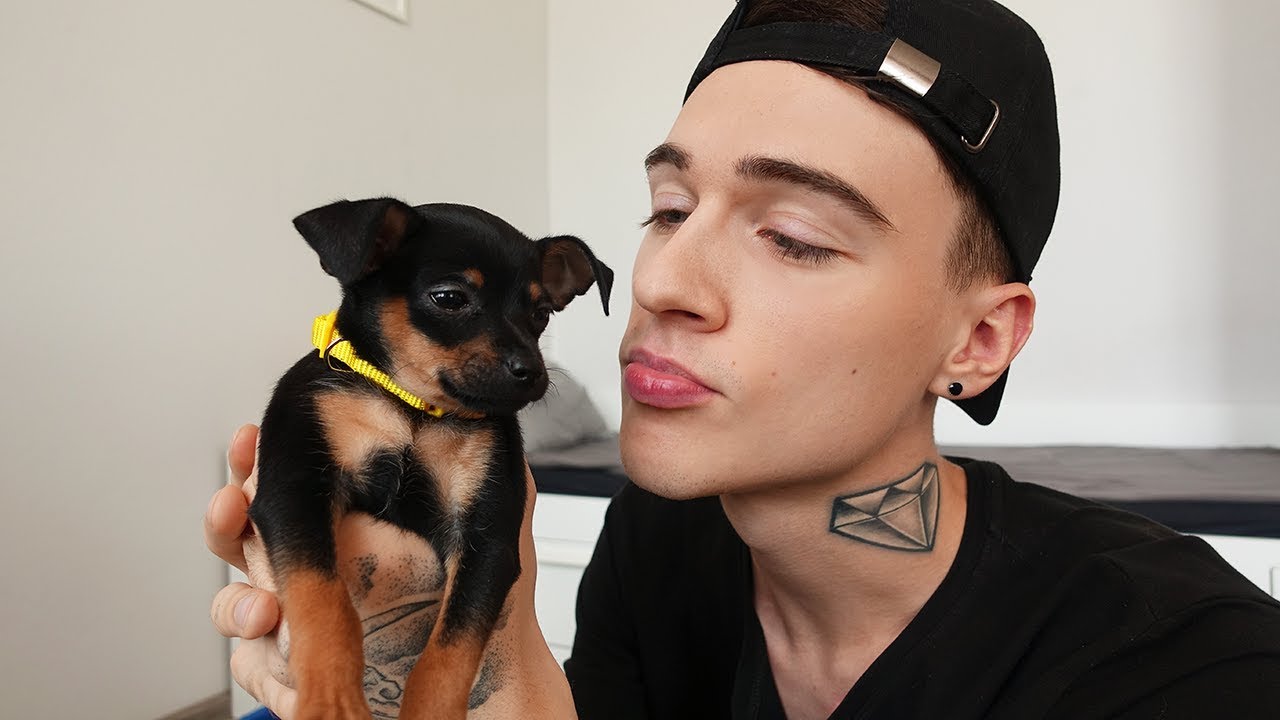 СОБАЧКА 🐾 - YouTube
