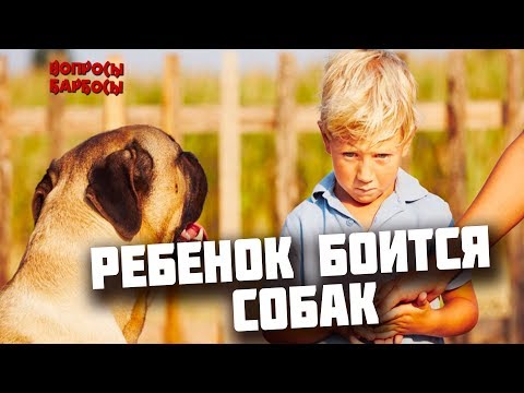 Любой детский (взрослый) страх, как избавиться?