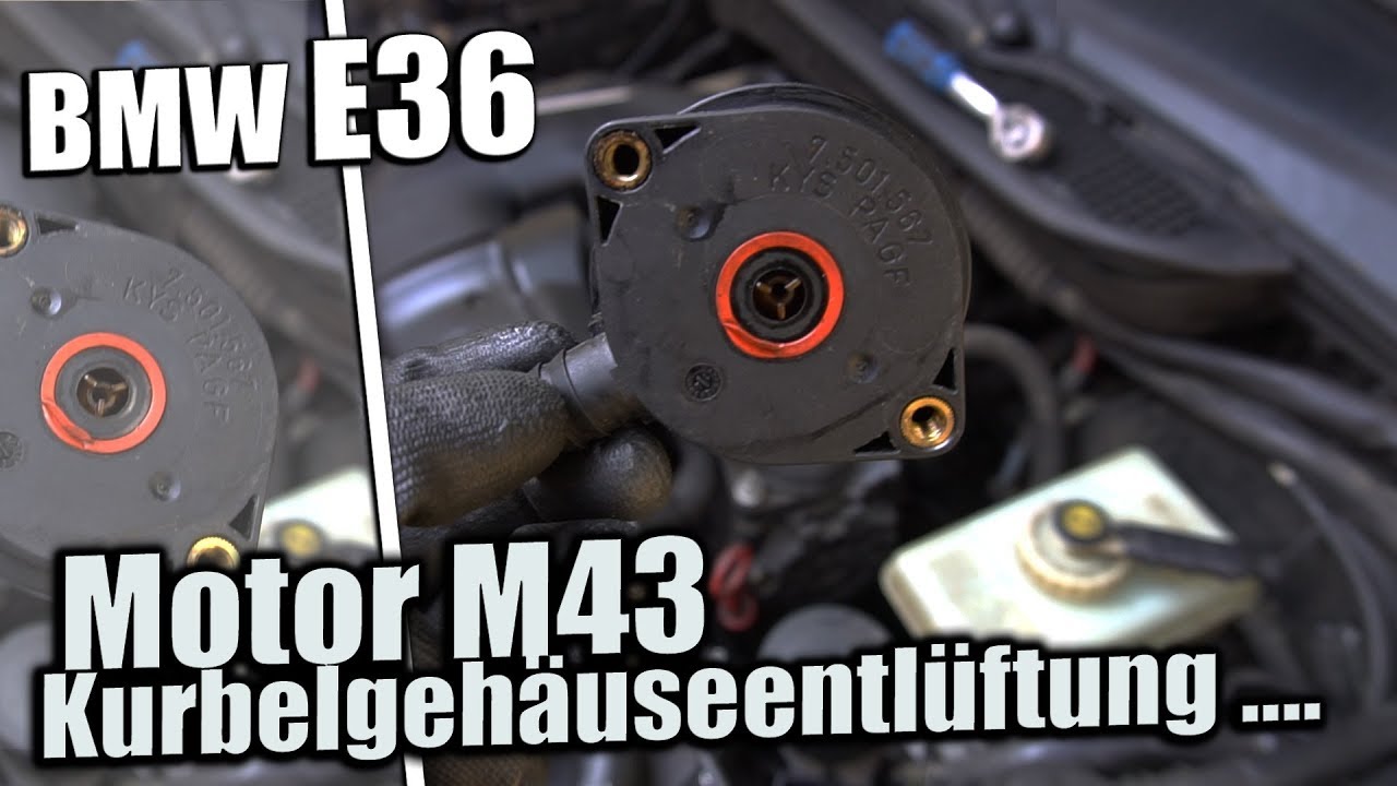 4K- ASB ausbauen + Kurbelgehäuseentlüftung (KGE) wechseln: BMW E46 316i  #N42 #116PS 