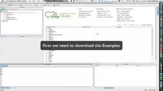 C24 Integration Objects Financial Messaging Software Examples screenshot 5