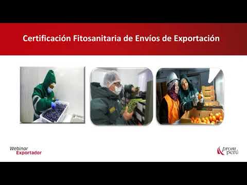 Procedimiento para la certificación fitosanitaria de productos vegetales: [30 de junio de 2021]