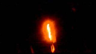 06112010004
