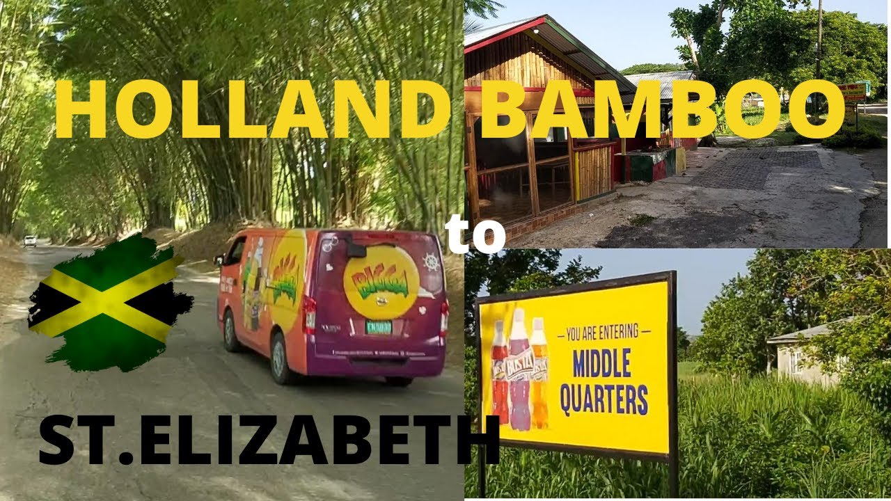 HOLLAND BAMBOO MIDDLE QUARTERS LONGEST CORNER IN JAMAICA ST