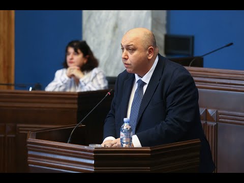 ირაკლი ქარსელაძემ რიკოთის მაგისტრალური გზის პროექტის შესახებ დეპუტატებს ინფორმაცია მიაწოდა