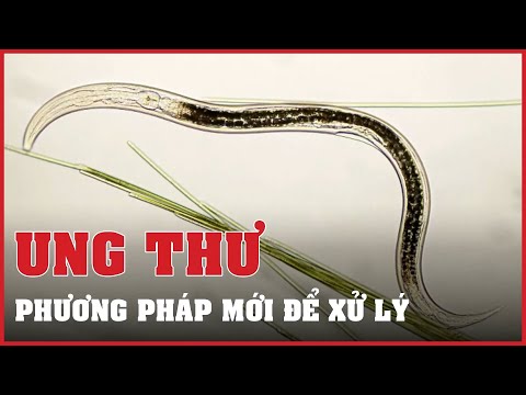 Video Các nhà khoa học Nhật tìm ra cách mới tiêu diệt tế bào... - youtube