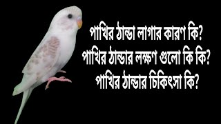 পাখির ঠান্ডা লাগার কারণ, ঠান্ডার লক্ষণ এবং ঠান্ডার ঔষধ