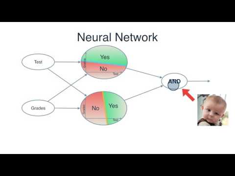 Neural Networks - Neural Networks
