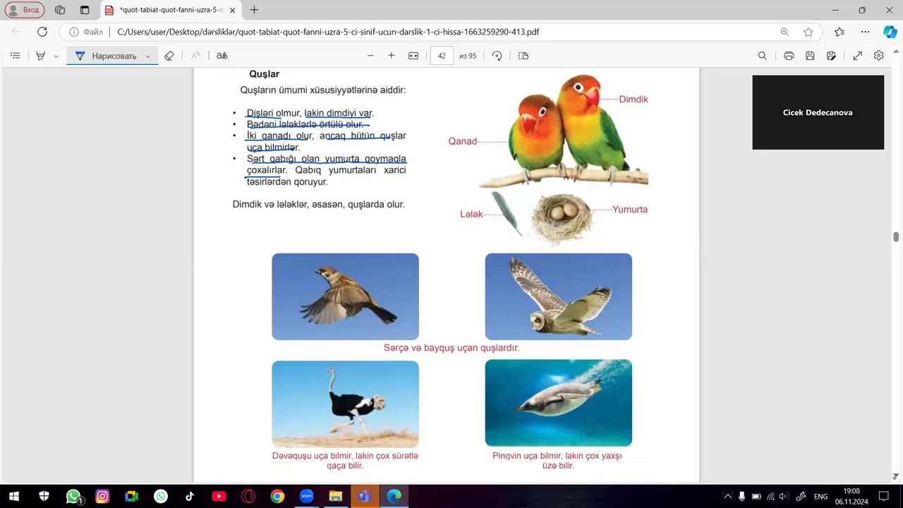 5ci sinif təbiət  mövzu 10heyvanlari necə qruplaşdıraq