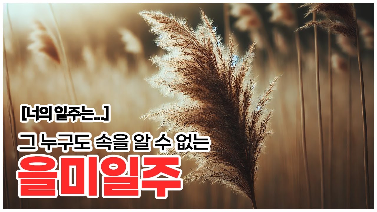 [너의 일주는] 그 누구도 속을 알 수 없는, 을미일주