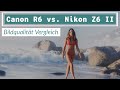 Canon EOS R6 vs. Nikon Z6 II – Bildqualität und Rauschen im Vergleich