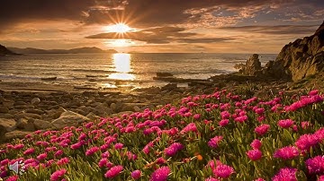 Relax/Relaxtion listen to ALQURAN ALKAREEM | القران الكريم سورة قريش تلاوة خاشعه