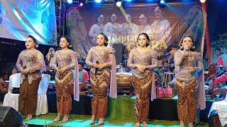 NIKEN SALINDRY Full Pargoy Opening Campursari Mayangkara Live Rejoso Nganjuk