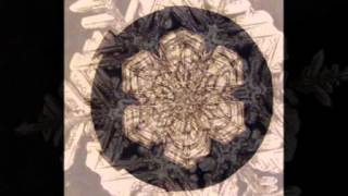 Conversation: Works by 'Snowflake' Bentley