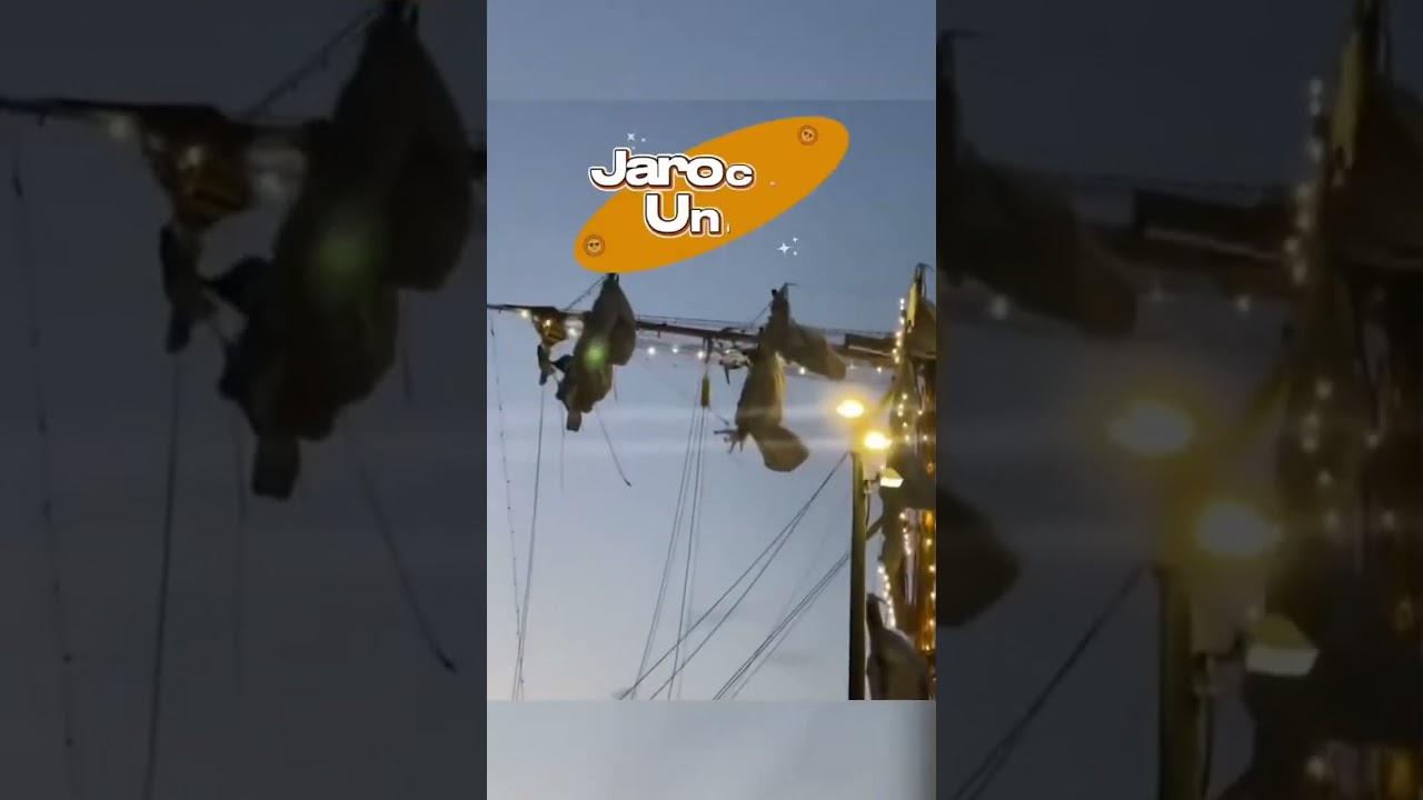 #buquecuauhtemoc #marinosmexicanos #brooklynbridge #diosconnosotros #jarochosenusa🇲🇽👍🏼 #mexicannavy