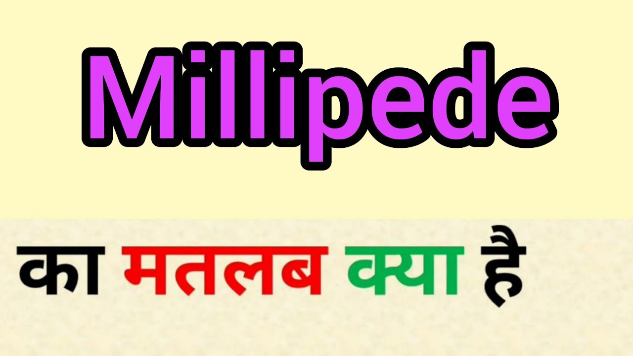 Millipede Meaning In Hindi Millipede Ka Matlab Kya Hota Hai Word millipede-meaning-in-hindi-millipede-ka-matlab-kya-hota-hai-word