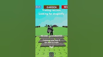 Trading raccoon looking for dragonfly #dragonfly #growagarden #gag #raccoon #trading #trending #gag