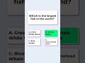 Hardest Trivia Quiz on YouTube!
