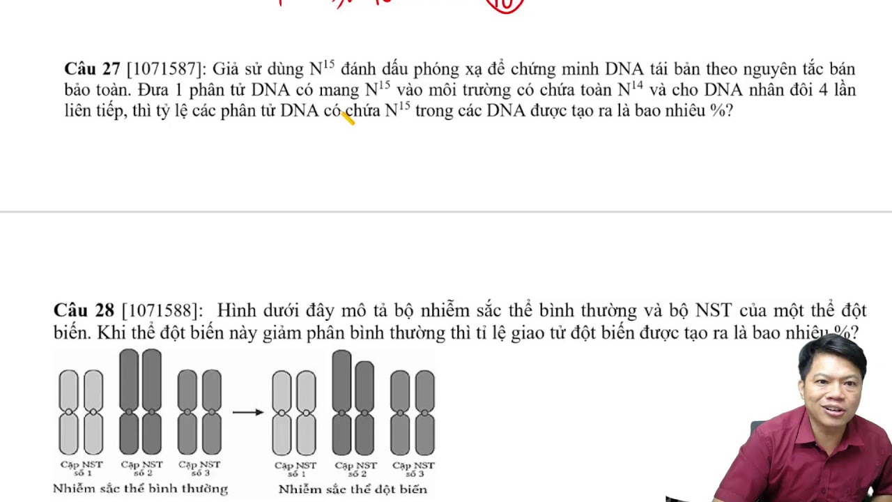 Ôn tập giữa kì 1 (Đề 1)