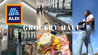 HUGE *2-HOUR* ALDI GROCERY HAUL ON A BUDGET | GROCERY SHOPPING VLOG