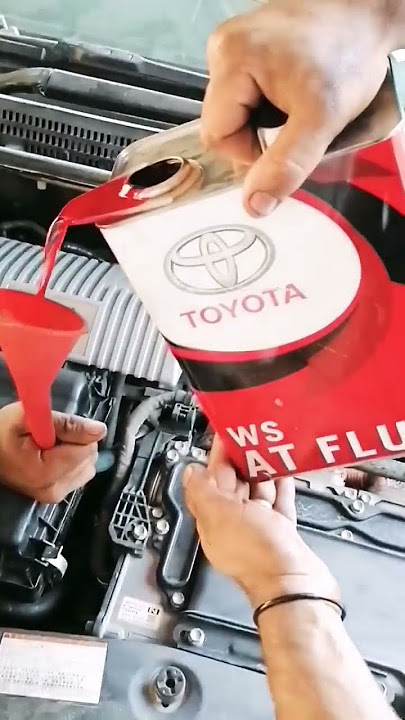 WS AT Fluid Prius #ws #fluid #transmission #gear @gearoil2797 @HYDROandFLUID #oil #yt #tag