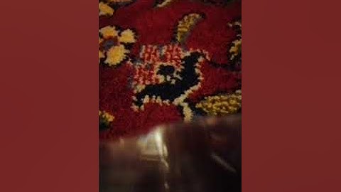 ( مرئى ) تلاوة للشيخ خالد الجليل من سورة الأنعام من الليلة الثامنة رمضان 1443ه‍.