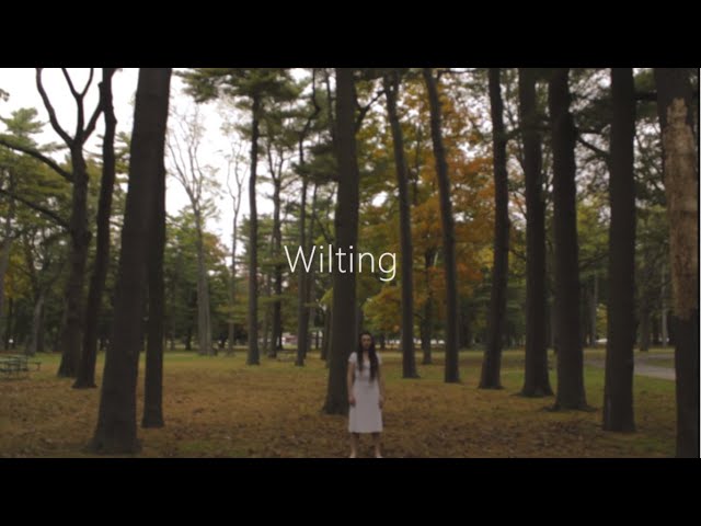 Wilting | Anna Betteridge Choreography