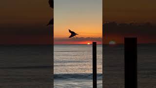 uae this audio #RelaxingQuran #QuranRecitation #4K #Nature #Peaceful #Islam #Calm #Spiritual