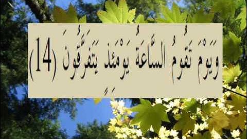 القران الكريم سورة الروم الأية 14.wmv