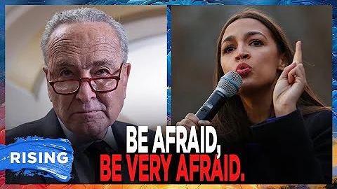 Schumer REFUSES To Step Down As Democrat Leader; Bill Maher Says It Might Be ‘Game Over’ For Party