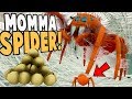 NEW JUMPING SPIDER LIFE CYCLE! Living Inside A Spider Nest! - Drunk On Nectar Gameplay