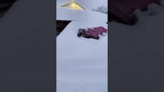 New Holland Tractor Power