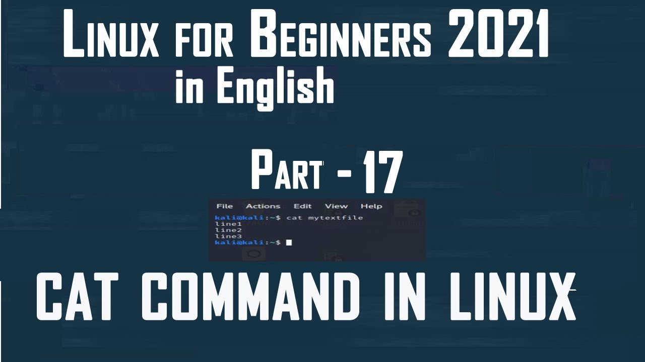 cat command in Linux | Linux for Beginners 2021 - YouTube