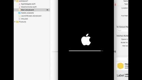iOS Auto Layout 가운데 정렬  강좌의 실행 화면